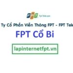 Lắp đặt internet FPT xã Cổ Bi huyện Gia Lâm thành phố Hà Nội