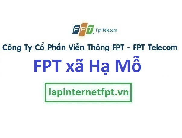 Lắp mạng FPT xã Hạ Mỗ huyện Đan Phượng Hà Nội
