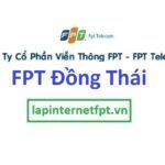 Lắp internet FPT xã Đồng Thái huyện An Dương Hải Phòng