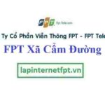 Lắp Đặt Mạng FPT Xã Cẩm Đường Tại Long Thành Đồng Nai