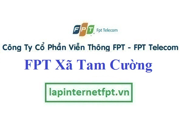 Lắp Đặt Mạng FPT Xã Tam Cường Tại Vĩnh Bảo Hải Phòng