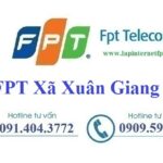 Lắp đặt internet Fpt xã Xuân Giang tại Sóc Sơn, Hà Nội