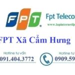 Lắp internet fpt xã Cẩm Hưng tại Cẩm Giàng, Hải Dương