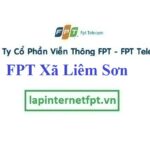 Lắp Đặt Mạng FPT Xã Liêm Sơn Huyện Thanh Liêm Hà Nam