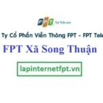 Lắp mạng fpt xã Song Thuận