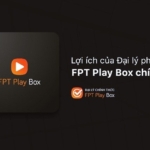 Lắp đặt đầu thu Fpt Play Box Huyện Na Rì