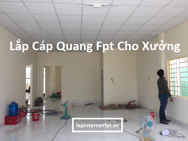 Lắp Cáp Quang Fpt Cho Nhà Xưởng