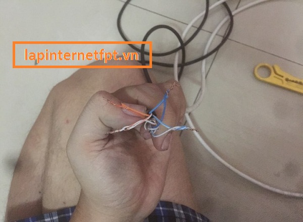 Cách nối dây mạng 8 sợi với dây mạng 4 sợi đúng chuẩn