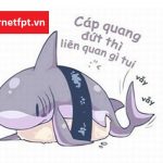 Đứt luôn Cáp Quang Biển APG, Internet Việt Nam đi quốc tế tê liệt
