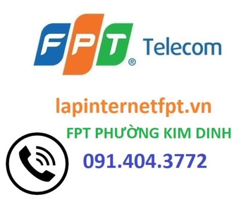 fpt phuong kim dinh