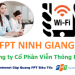 Lắp Mạng FPT Huyện Ninh Giang
