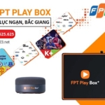 Fpt play box huyện Lục Ngạn