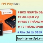 Lắp đặt đầu thu fpt play box Lai Vung