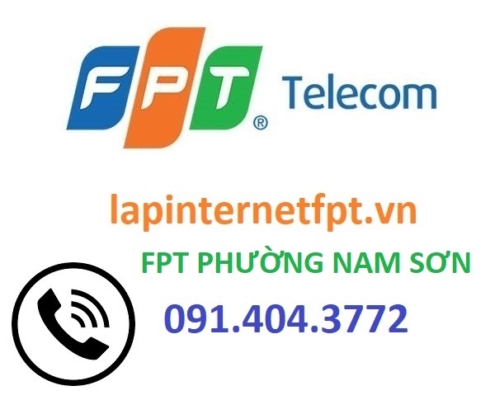 fpt phuong nam son