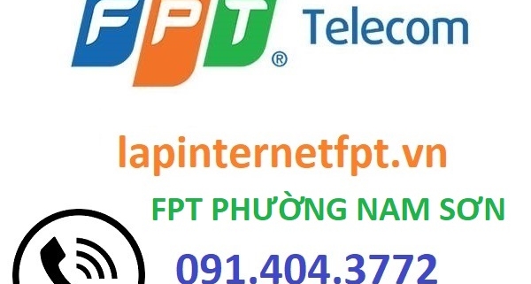 fpt phuong nam son